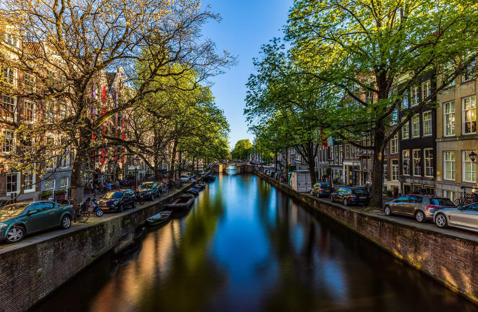 Amsterdam canal lined with trees and historic houses
